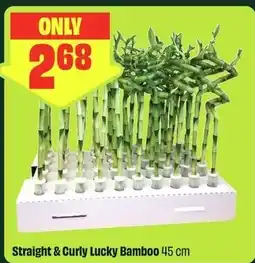 FreshCo Straight & Curly Lucky Bamboo offer