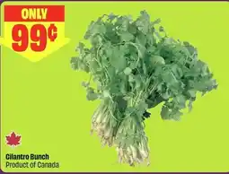 FreshCo Cilantro Bunch offer