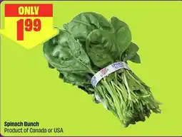 FreshCo Spinach Bunch offer