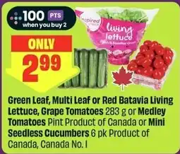 FreshCo Living Lettuce, Grape Tomatoes or Mini Seedless Cucumbers offer