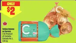 FreshCo Yellow Onions or Carrots offer