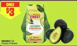 FreshCo Avocados offer