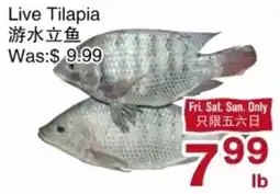 First Choice Supermarket Live Tilapia offer