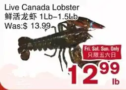 First Choice Supermarket Live Canada Lobster offer