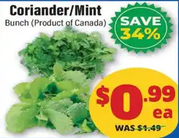 Iqbal Foods Coriander/Mint offer