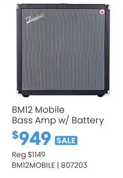 Long & McQuade BMI2 Mobile Bass Amp w/ Battery offer