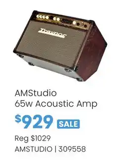 Long & McQuade AMStudio 65w Acoustic Amp offer