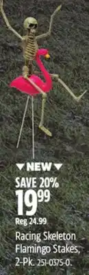 Canadian Tire Racing Skeleton Flamingo Stakes offer