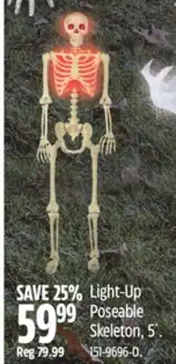 Canadian Tire Light-Up Poseable Skeleton, 5' offer