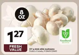 Giant Tiger 227 g whole white mushrooms offer