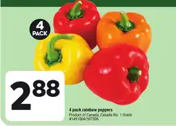 Giant Tiger 4 pack rainbow peppers offer