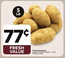 Giant Tiger 5 lb Russet Potatoes offer