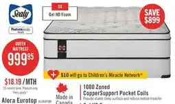 The Brick Sealy Posturepedic Plus Alora Eurotop Plush Queen Mattress offer