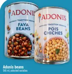 Marché Adonis Adonis beans selected varieties offer