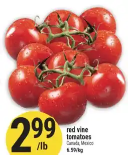 Marché Adonis red vine tomatoes Canada, Mexico offer