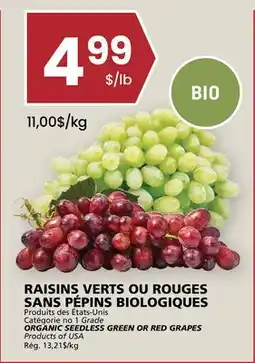 Rachelle-Bery Grocery ORGANIC SEEDLESS GREEN OR RED GRAPES offer