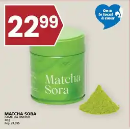 Rachelle-Bery Grocery MATCHA SORA CAMELLIA SINENSIS offer