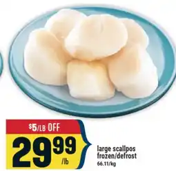 Marché Adonis large scallpos offer
