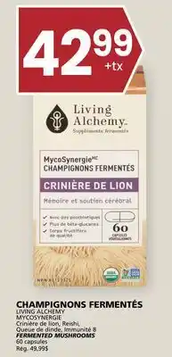 Rachelle-Bery Grocery FERMENTED MUSHROOMS offer