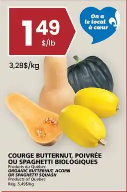 Rachelle-Bery Grocery ORGANIC BUTTERNUT, ACORN OR SPAGHETTI SQUASH offer
