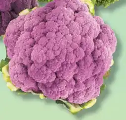 IGA PURPLE CAULIFLOWER offer