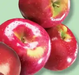 IGA CORTLAND, MCINTOSH OR SPARTAN APPLES offer