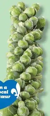 IGA BRUSSELS SPROUTS offer