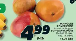 IGA EGYPTIAN MANGOS offer