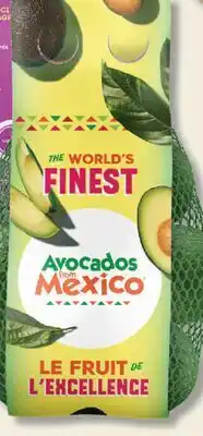 IGA HASS AVOCADOS offer