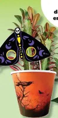 IGA CREEPY PLANTS offer