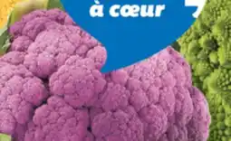 IGA CHOU-FLEUR MAUVE, ORANGE OU ROMANESCO offer
