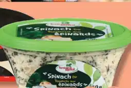 IGA FONTAINE SANTÉ DIP, SPREAD, TZATZIKI OR GARLIC SAUE offer