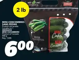 IGA MINI-CONCOMBRES SANS PÉPINS offer