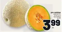Metro GROS CANTALOUP | LARGE CANTALOUPE offer