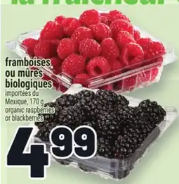 Metro FRAMBOISES OU MÛRES BIOLOGIQUES | ORGANIC RASPBERRIES OR BLACKBERRIES offer