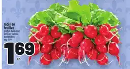 Metro RADIS EN FEUILLES | TOP RADISHES offer