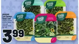 Metro POUSSES LES FERMES GOOD LEAF | GOOD LEAF SHOOTS offer