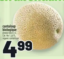Metro CANTALOUP BIOLOGIQUE | ORGANIC CANTALOUPE offer