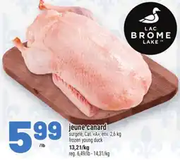 Metro JEUNE CANARD | FROZEN YOUNG DUCK offer