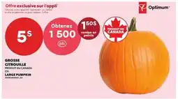 Provigo GROSSE CITROUILLE | LARGE PUMPKIN offer