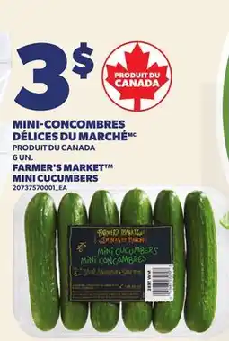 Provigo MINI-CONCOMBRES DÉLICES DU MARCHÉ | FARMER'S MARKET MINI CUCUMBERS, 6 UN offer