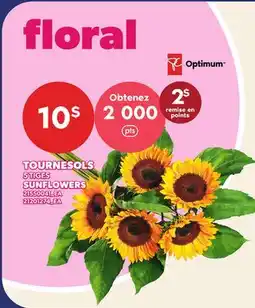 Provigo TOURNESOLS | SUNFLOWERS, 5 TIGES offer