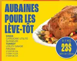 Wholesale Club DINDE offer