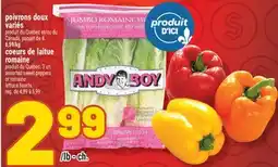 Marché Richelieu POIVRONS DOUX VARIÉS | ASSORTED SWEET PEPPERS offer