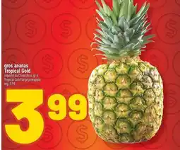 Marché Richelieu gros ananas TropicalGold | TropicalGold large pineapple offer