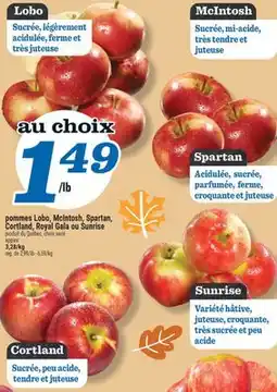 Marché Richelieu POMMES LOBO, MCINTOSH, SPARTAN, CORTLAND, ROYAL GALA OU SUNRISE | APPLES offer