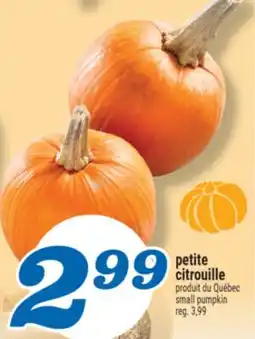Marché Richelieu PETITE CITROUILLE | SMALL PUMPKIN offer