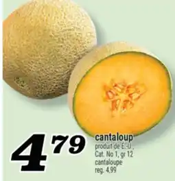 Marché Richelieu CANTALOUP | CANTALOUPE offer
