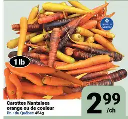 Pasquier Carottes Nantaises orange ou de couleur offer