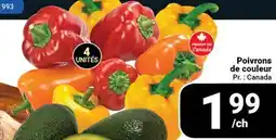 Pasquier Poivrons de couleur offer